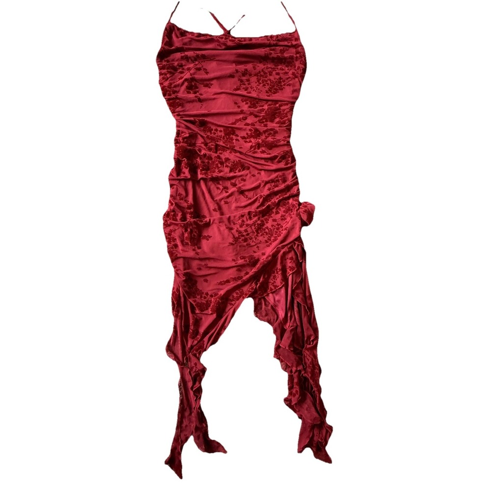 Red Velvet Burnout Mini Dress, Witchy, Goth, Vampire, Sexy, Rose, Size Large